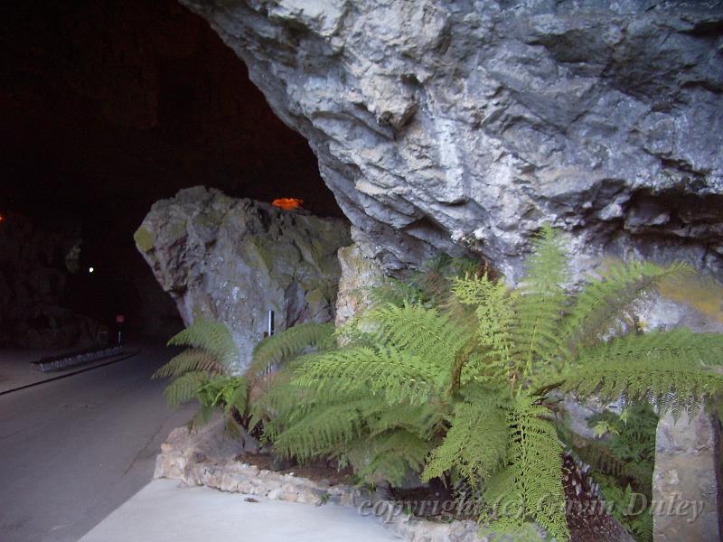 Jenolan Caves IMGP2498.JPG